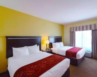 Room #49193806 at Comfort Suites University