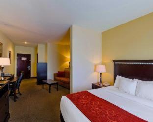 Room #49193807 at Comfort Suites University