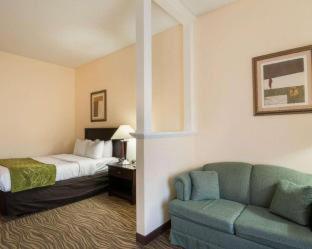 Room #49219007 at Comfort Suites Abingdon I-81