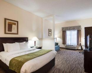 Room #49219007 at Comfort Suites Abingdon I-81