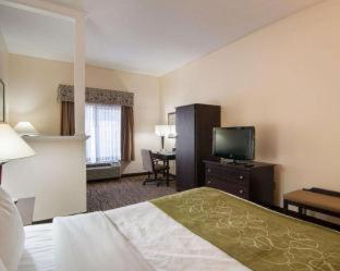 Room #49219007 at Comfort Suites Abingdon I-81