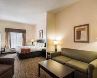Room #49219008 at Comfort Suites Abingdon I-81
