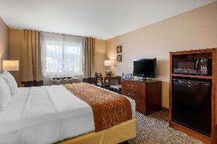 Room #48911015 at Comfort Inn & Suites Murrieta Temecula Wine Country
