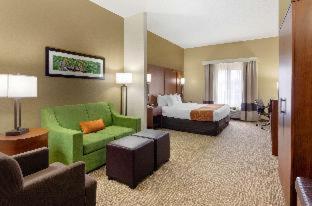 Room #49219009 at Comfort Suites Abingdon I-81