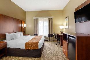 Room #49219009 at Comfort Suites Abingdon I-81