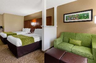 Room #49219010 at Comfort Suites Abingdon I-81