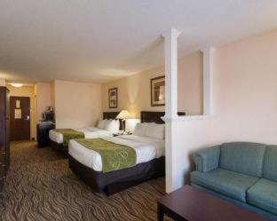Room #49219010 at Comfort Suites Abingdon I-81
