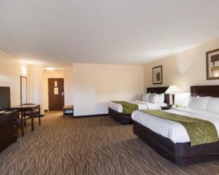 Room #49219010 at Comfort Suites Abingdon I-81