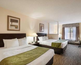 Room #49219010 at Comfort Suites Abingdon I-81