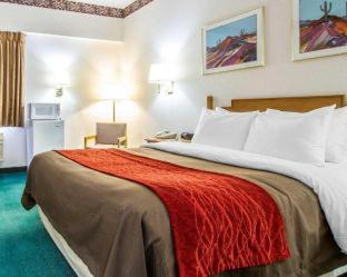 Room #48900110 at Comfort Inn Camp Verde I-17