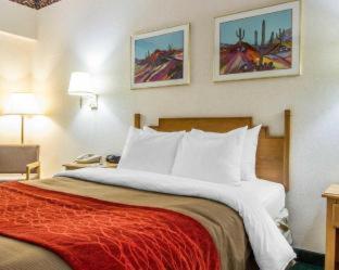 Room #48900110 at Comfort Inn Camp Verde I-17