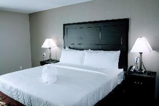Room #36878718 at Alexis Hotel & Banquets Dallas Park Central Galleria