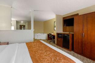 Room #49219011 at Comfort Suites Abingdon I-81