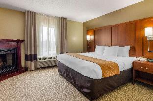 Room #49219011 at Comfort Suites Abingdon I-81