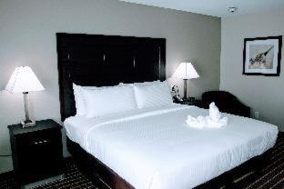 Room #36878721 at Alexis Hotel & Banquets Dallas Park Central Galleria