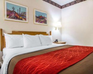 Room #48900112 at Comfort Inn Camp Verde I-17
