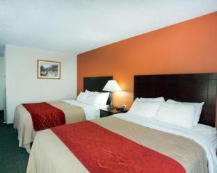 Room #49184307 at Quality Inn Cedar Park - Austin Northwest