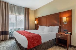 Room #26118008 at Comfort Suites Mason near Kings Island