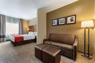 Room #26118008 at Comfort Suites Mason near Kings Island