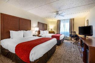 Room #48949608 at Comfort Inn Kissimmee-Lake Buena Vista South