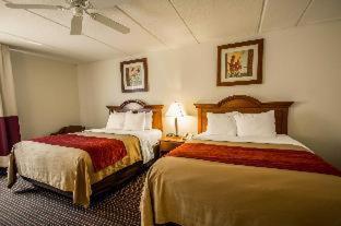 Room #48949608 at Comfort Inn Kissimmee-Lake Buena Vista South