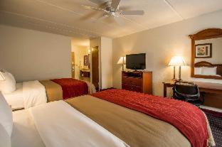 Room #48949608 at Comfort Inn Kissimmee-Lake Buena Vista South