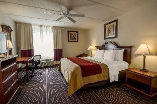 Room #48949609 at Comfort Inn Kissimmee-Lake Buena Vista South