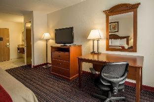 Room #48949609 at Comfort Inn Kissimmee-Lake Buena Vista South