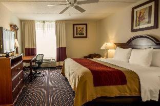 Room #48949609 at Comfort Inn Kissimmee-Lake Buena Vista South