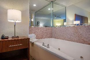 Room #48949610 at Comfort Inn Kissimmee-Lake Buena Vista South