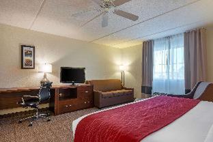 Room #48949610 at Comfort Inn Kissimmee-Lake Buena Vista South