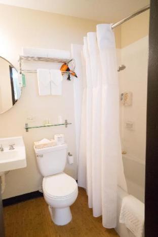Room #34369410 at Stay Hotel Waikiki
