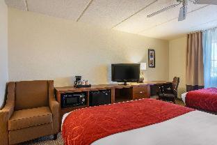 Room #48949611 at Comfort Inn Kissimmee-Lake Buena Vista South