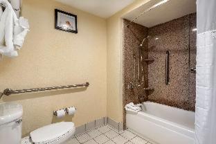 Room #48949611 at Comfort Inn Kissimmee-Lake Buena Vista South