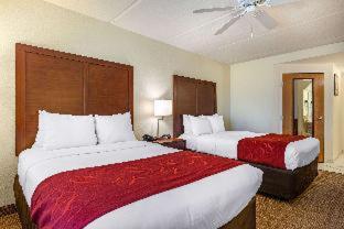 Room #48949611 at Comfort Inn Kissimmee-Lake Buena Vista South