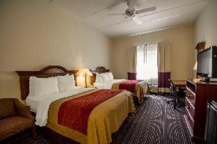 Room #48949611 at Comfort Inn Kissimmee-Lake Buena Vista South