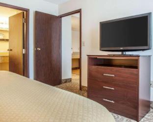 Room #49233309 at Spark by Hilton Milwaukee Airport