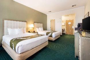 Room #410913808 at Quality Inn & Suites Conference Center