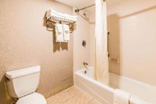 Room #49072612 at Lake Norman Inn and Suites
