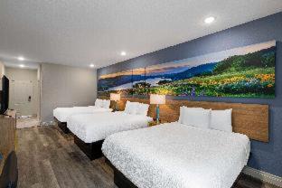 Room #586445606 at Days Inn & Suites by Wyndham Downtown/University of Houston