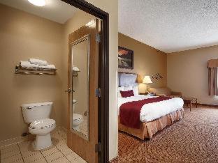 Room #62294119 at Best Western Plus Albert Lea I-90/I-35 Hotel