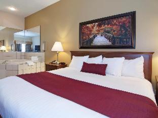 Room #62294120 at Best Western Plus Albert Lea I-90/I-35 Hotel