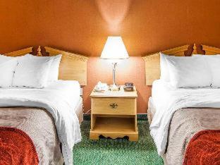 Room #45883113 at Econo Lodge Newport Smoky Mountains Gateway