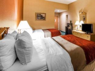 Room #45883113 at Econo Lodge Newport Smoky Mountains Gateway