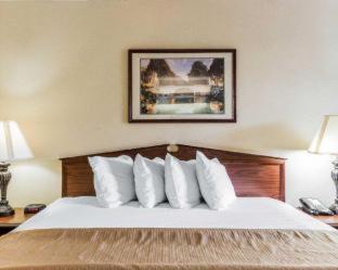 Room #48876807 at Quality Inn Trussville I-59 exit 141