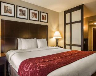Room #26152011 at Comfort Suites Huntersville near Lake Norman