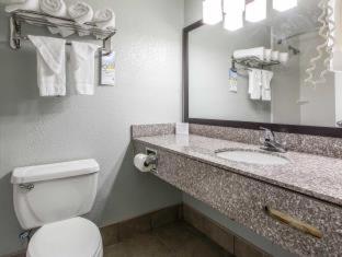 Room #48867515 at Quality Inn Downtown Historic District