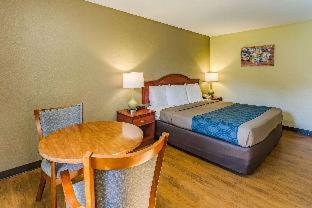 Room #114993008 at Econo Lodge Lexington Downtown near I-81