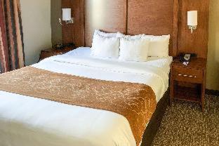Room #48957006 at Comfort Suites Columbus State University Area