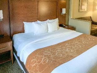 Room #48957006 at Comfort Suites Columbus State University Area